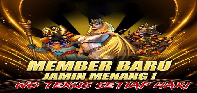 Pulau888 Website
